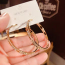 Argola com Pedras Cintilante Luxo