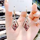 Argola Cristal Cida (Leve 2 Pague 1)