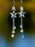 Brinco Estrela